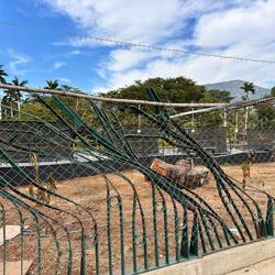 Von Baum/Sturm beschädigte Einhagung des Parks - Dutzende so