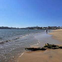 Dem Baumstamm nach zu schliessen ist die Bucht vermutlich überdüngt