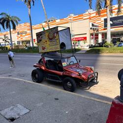 Der einzige Biggy - verdient sich ein Zubrot