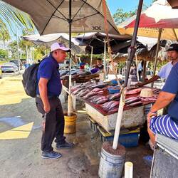 Und gleich auch das entsprechende Angebot