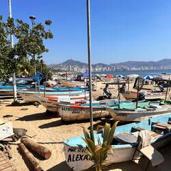 Auch Fischer scheinen noch ein Einkommen zu haben