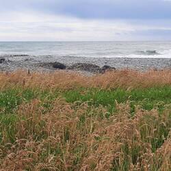 Tonight's camping spot in Greymouth. Wild West Coast Beach