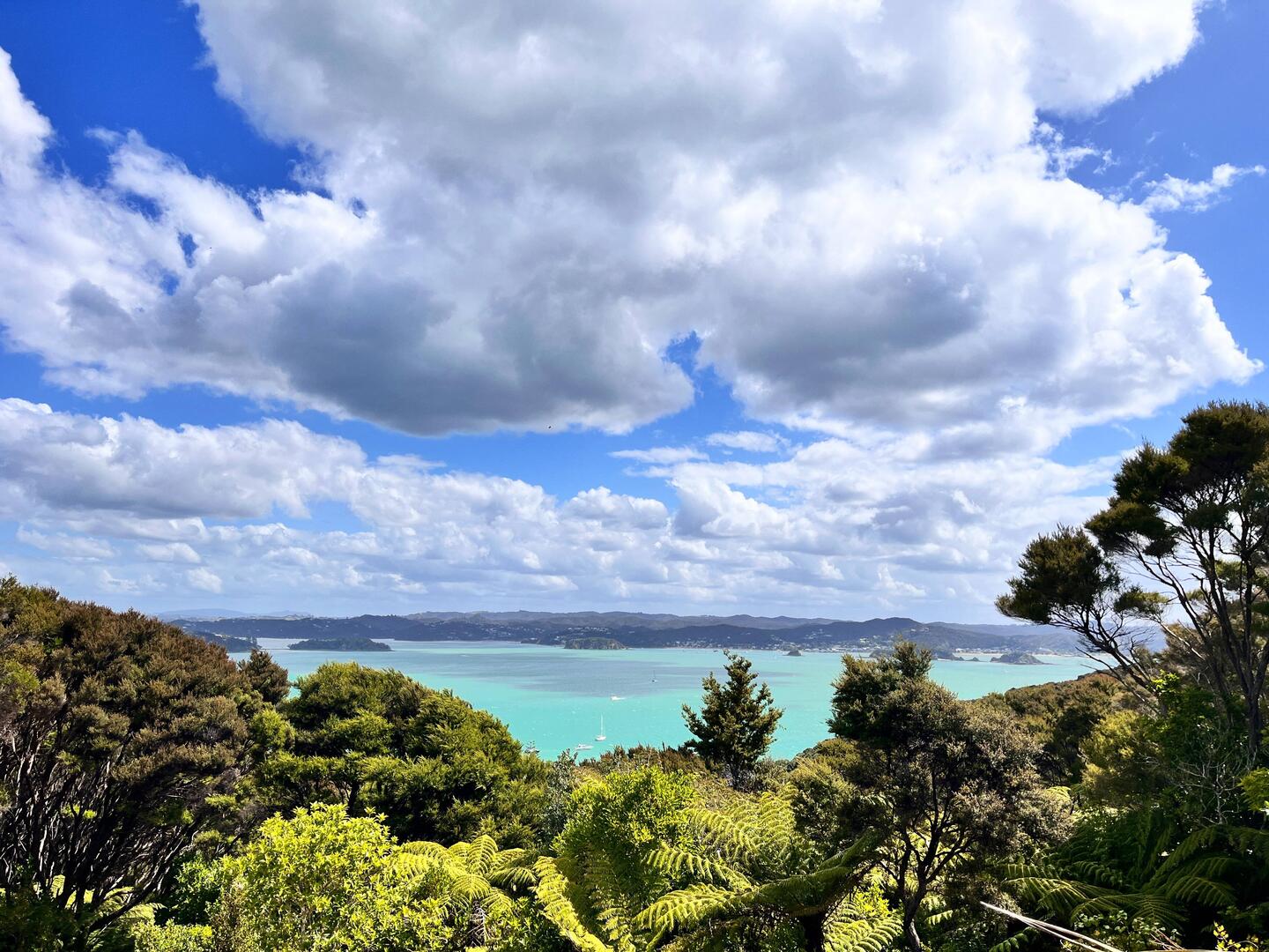 Blick Richtung Paihia