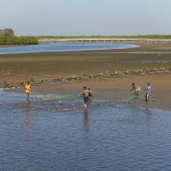 Ein paar Männer fischen gerade mit einem Netz