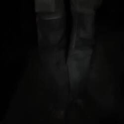 Wer kann schon sagen, dass er in einem Baum gewesen ist...