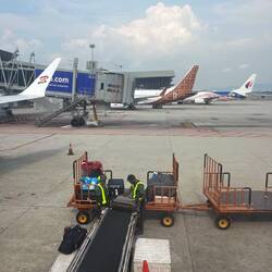 Sucht mal unser Gepäck