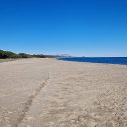 Überfüllter Strand