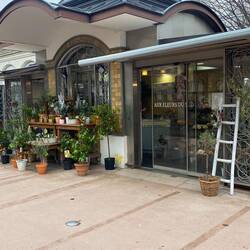 Beautiful fresh flowers, lemon trees, clementine trees, etc