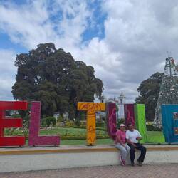 El Tule - der Name des Baums