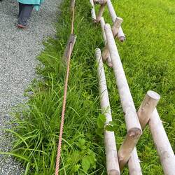 Botanical garden fence