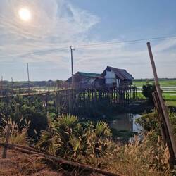 Jetz es Riisfäld, vo April bes Oktober en See