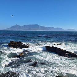 Looks a long swim back to Cape Town