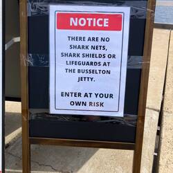 🦈🍀🤞🤿