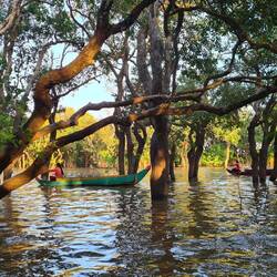 Das Frauen-Kanu-Kollektiv
