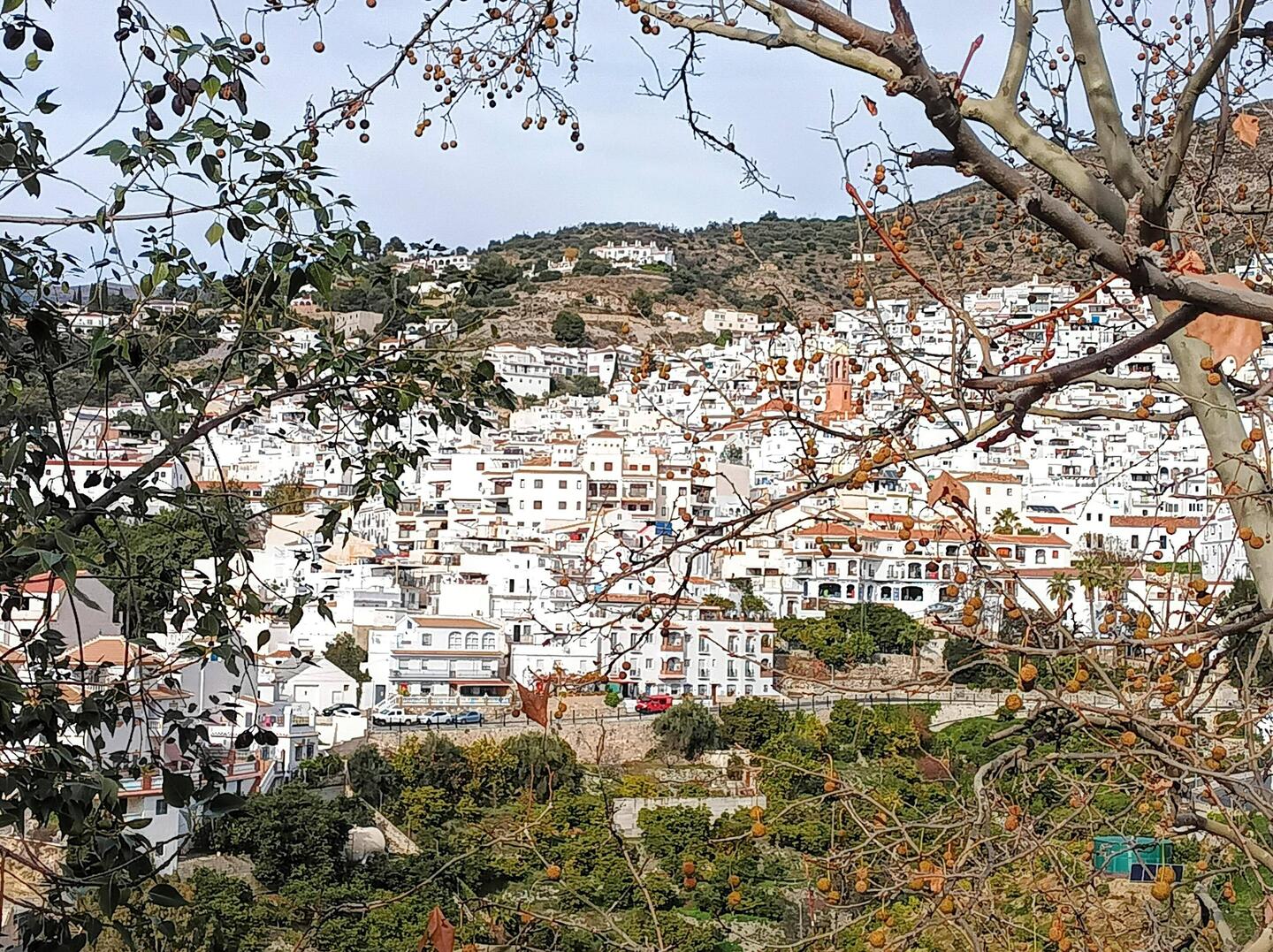 Competa