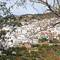 Competa