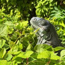 die stehen mal so am Wegesrand und beäugen ihre Umgebung
