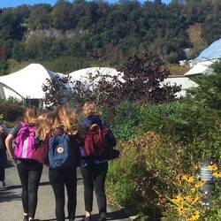 Auf dem Weg zum Workshop