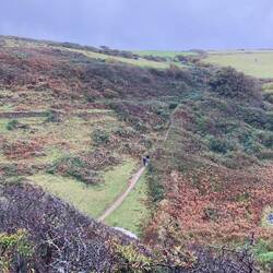 Und hoch und runter, und hoch- und runter, und...