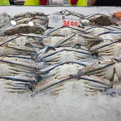 Vous avez déjà vu ce genre de crabes ?!