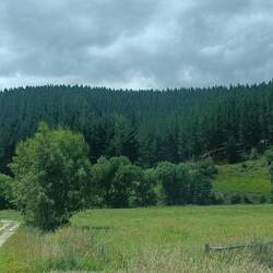 Photo prise en roulant