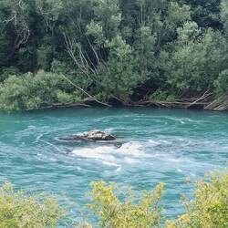 Roxburgh pour la pause déjeuner