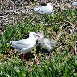 On n'a vu que des mouettes 😂😂