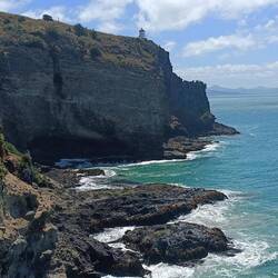 Royal albatros centre