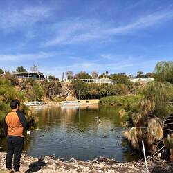 Der Weier, mit Enten und Gänsen - oben Spaziergalerien, dahinter liegt das Fort