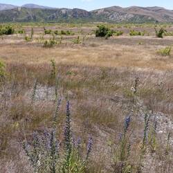 In de verte de cliffs