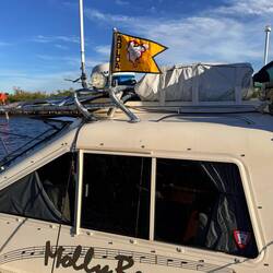 We're gold loopers!!