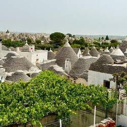 Clustered coned roof tops of Alberobello