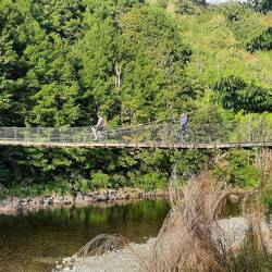 Powerhouse loop trail