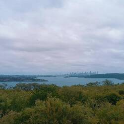 Vue sur la baie de sydney
