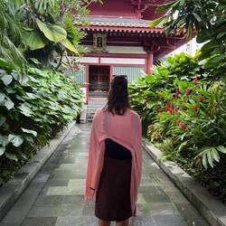 Rooftop @ Buddha Temple
