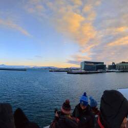 Elding Whale watching