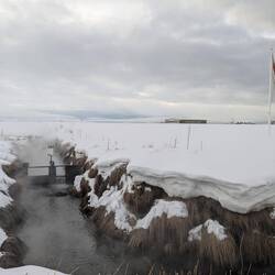 Schön warmes Wasser- mögen auch die Wasservögel