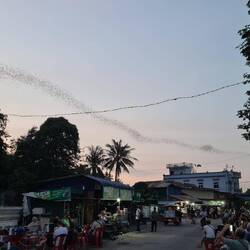 Das geht gute 20 Min so weiter