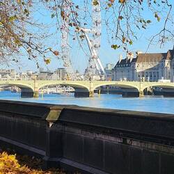 London Eye still see you!