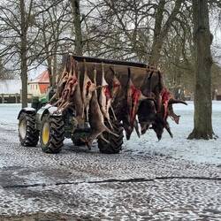 Logistik klappt