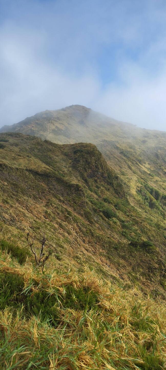 Le pico da vara