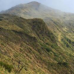 Le pico da vara
