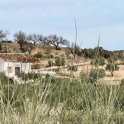 so einsam im Nationalpark