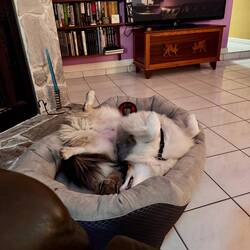 Didn't take long for Moki to settle in