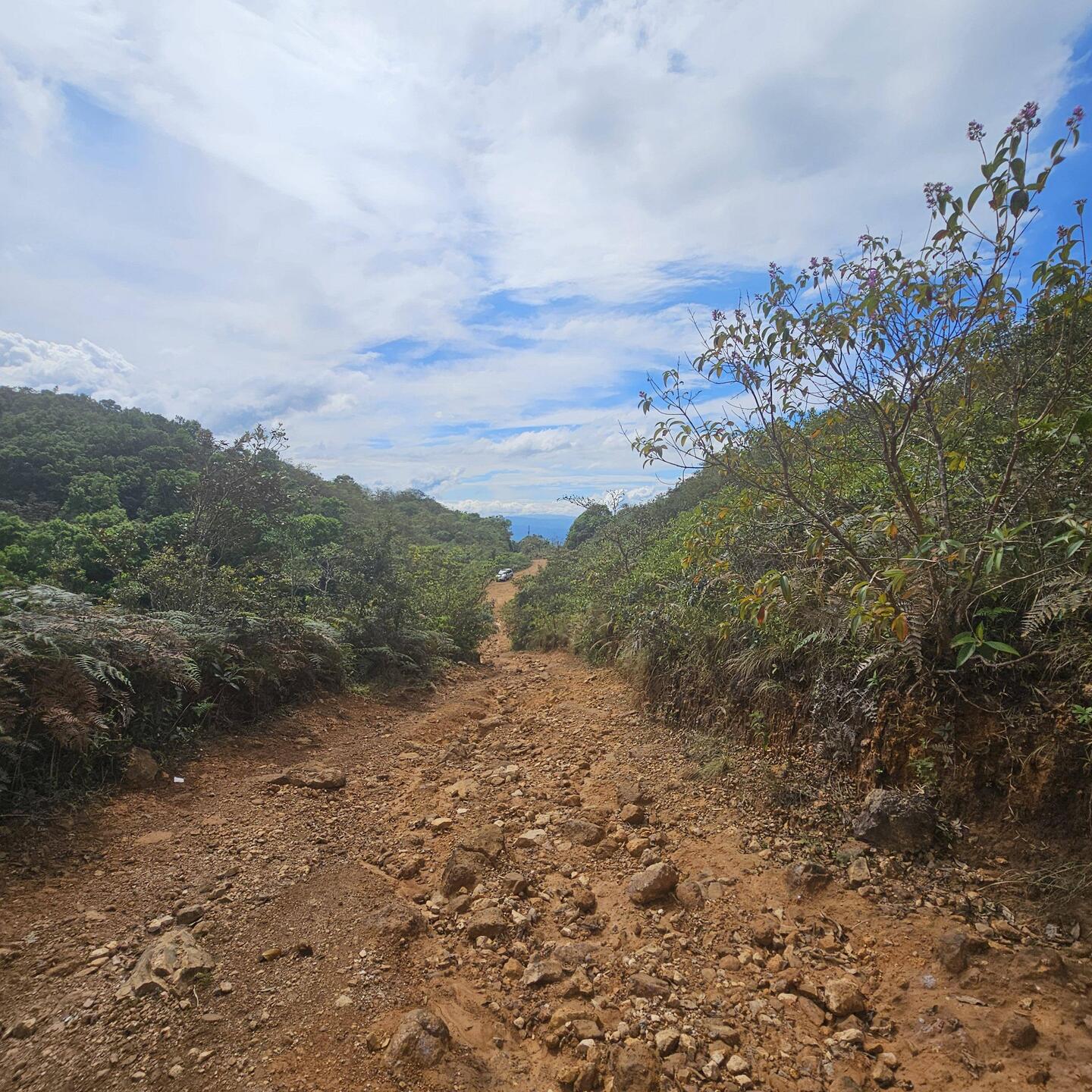 We can't resist a good back road. This one took us to a "Parque y Vista Panoramica."