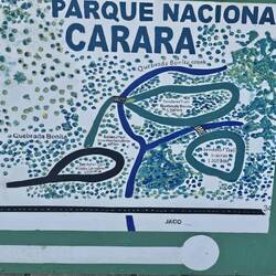 Carara is not a big park, but we saw more than we were expecting to on the almost 3 mile trail.