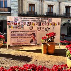 An einigen Orten haben Sie Vermisstenplakate aufgehängt - eines davon