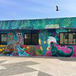 Gleich daneben ein Universitätsgebäude - oben fliegt gerade noch ein Pelikan