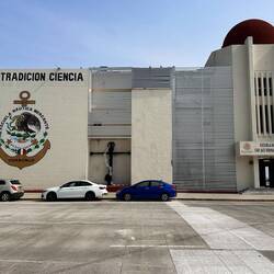 Der Nautik-Schule bin ich auch zugelaufen