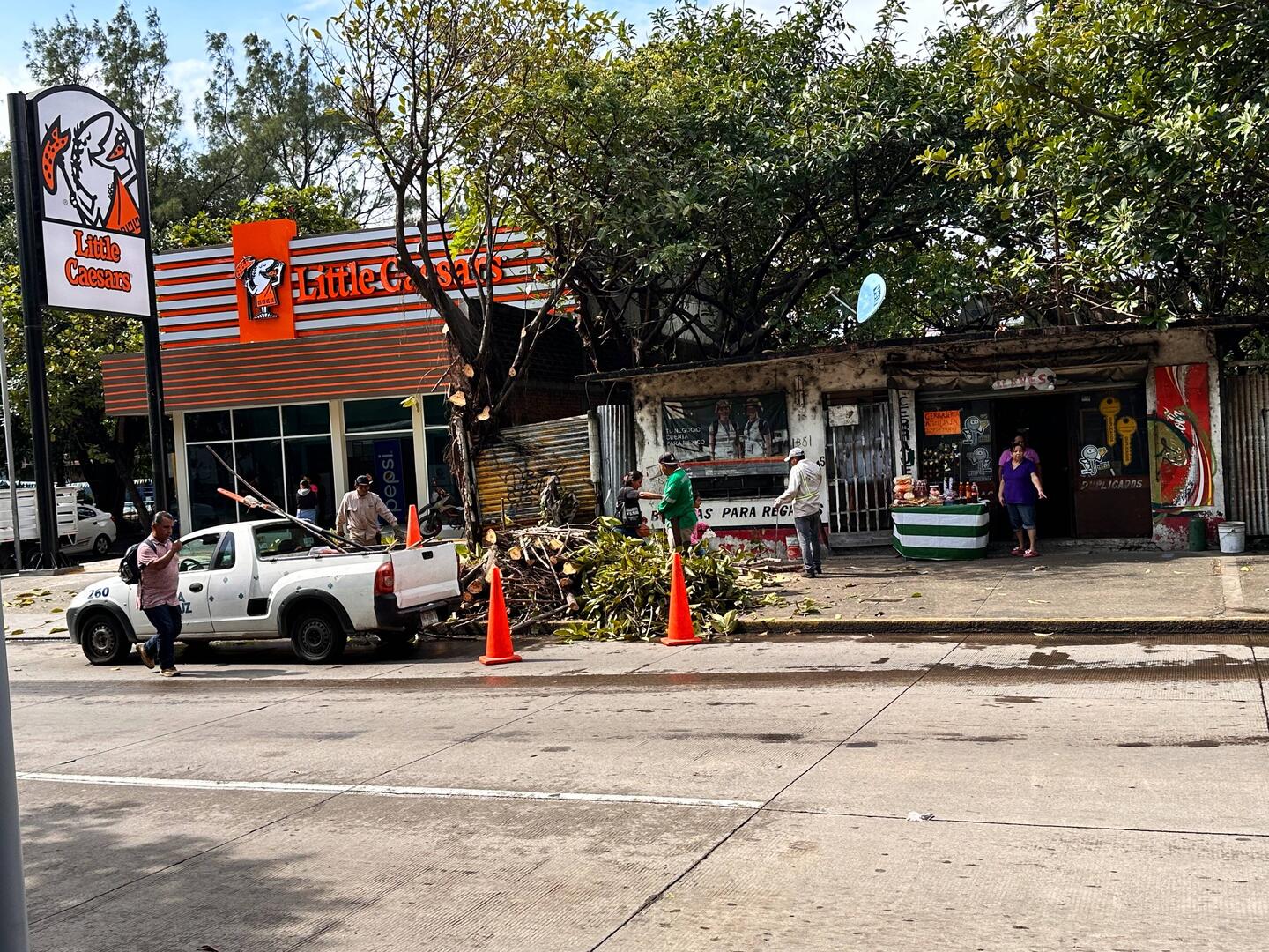 Baum fällen entlang der Avenida - mit Macheten und Sägen und Baseball-Caps, ohne Ohrschut
